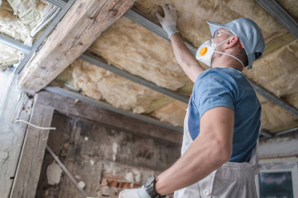 Best Affordable Insulation Services  in Toluca, IL
