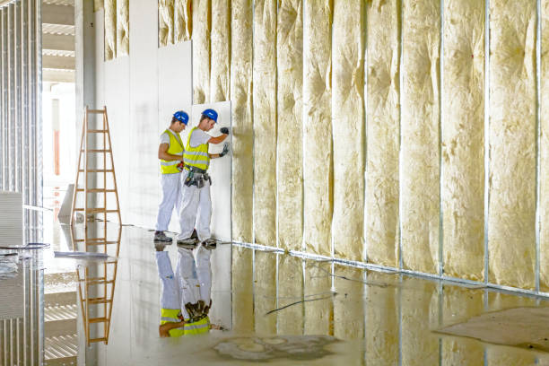 Best Garage Insulation Installation  in Toluca, IL